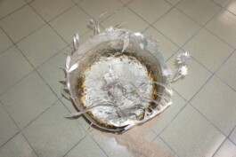 katsiaryna-sheliahovich.gleamstudio.xyz