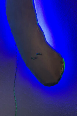 katsiaryna-sheliahovich.gleamstudio.xyz