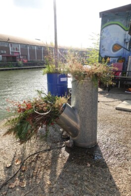 katsiaryna-sheliahovich.gleamstudio.xyz