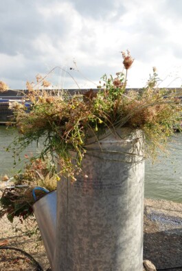 katsiaryna-sheliahovich.gleamstudio.xyz