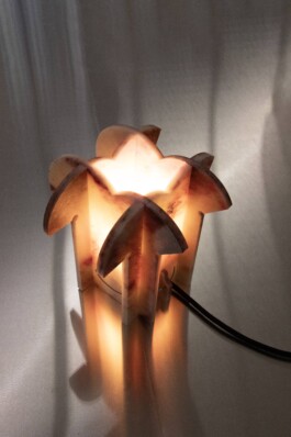 katsiaryna-sheliahovich.gleamstudio.xyz