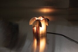 katsiaryna-sheliahovich.gleamstudio.xyz