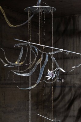 katsiaryna-sheliahovich.gleamstudio.xyz