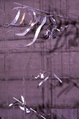 katsiaryna-sheliahovich.gleamstudio.xyz