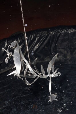 katsiaryna-sheliahovich.gleamstudio.xyz