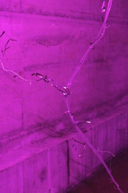 katsiaryna-sheliahovich.gleamstudio.xyz