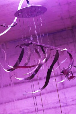 katsiaryna-sheliahovich.gleamstudio.xyz