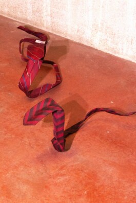 katsiaryna-sheliahovich.gleamstudio.xyz