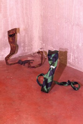 katsiaryna-sheliahovich.gleamstudio.xyz