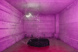 katsiaryna-sheliahovich.gleamstudio.xyz