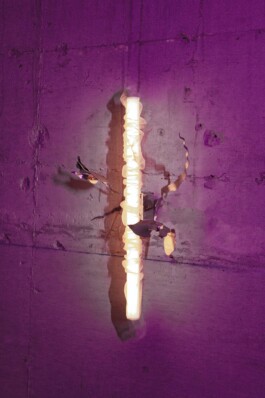 katsiaryna-sheliahovich.gleamstudio.xyz